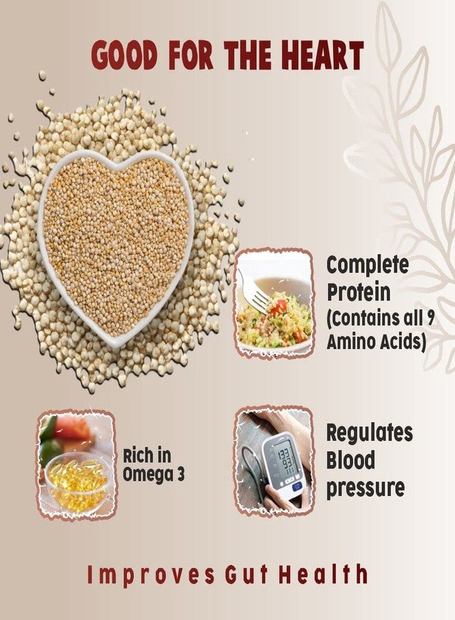 Manna Quinoa 1.5kg Whole Grain Gluten Free. Saponin Free, Complete Protein with 9 Amino Acids - Image 4