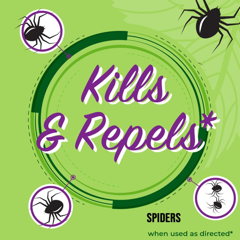 Mighty Mint Peppermint Oil Spider Repellent Spray â€“ Indoor & Outdoor Bug Control for Spiders and Insects â€“ Plant-Based, Extra-Strong Formula - 16 oz - Image 3