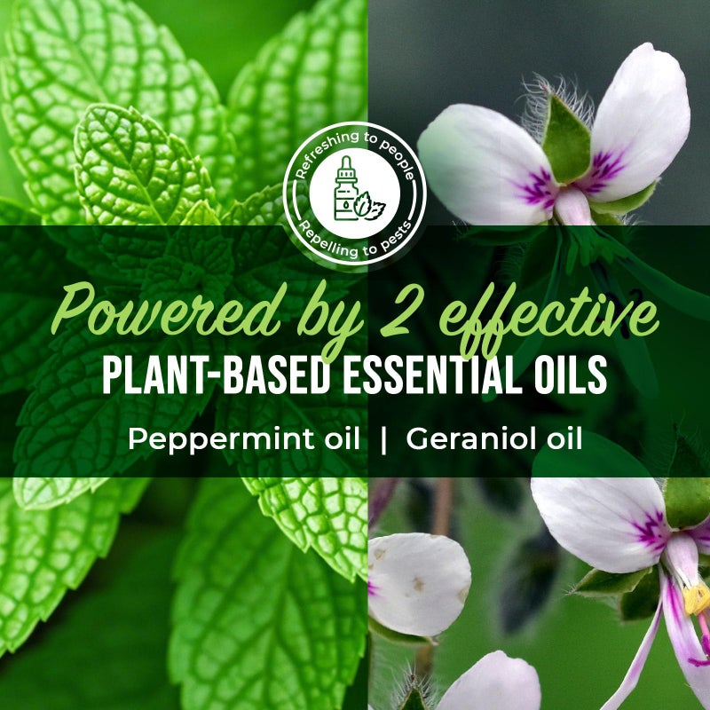 Mighty Mint Peppermint Oil Spider Repellent Spray â€“ Indoor & Outdoor Bug Control for Spiders and Insects â€“ Plant-Based, Extra-Strong Formula - 16 oz - Image 4