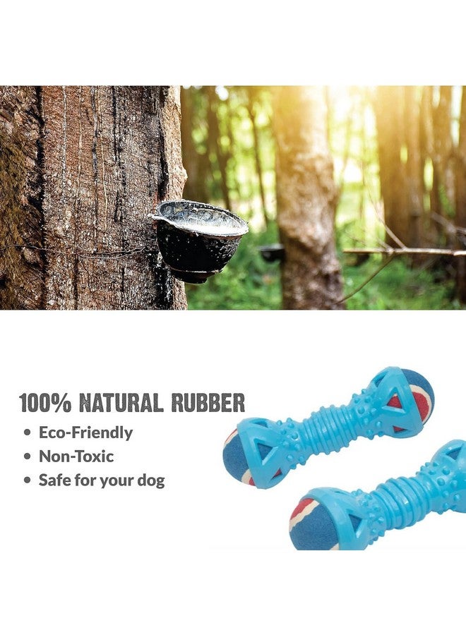 بت لعبة مضغ الدمبل ذات الكرة المزدوجة من Playerz للكلاب متوسطة الحجم ذات القدرة على المضغ مع المطاط الطبيعي - Image 5