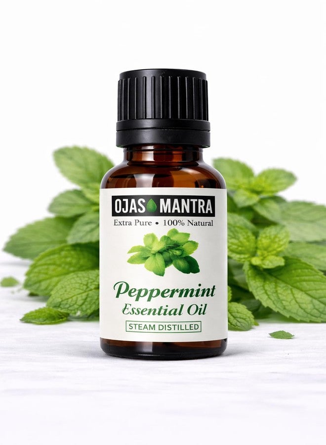OJAS MANTRA Peppermint Essential Oil, 100% Natural, Steam Distilled, 15ml, Refreshing Aroma, With Dropper - Image 4
