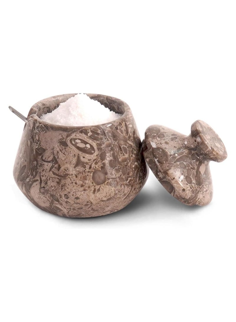 الحرف الأرضية وعاء ملح رخامي مع غطاء وملعقة، وعاء توابل وملح أوشيانك مقاس 4 بوصات، حامل حلوى القهوة لطاولة المطبخ - Image 1