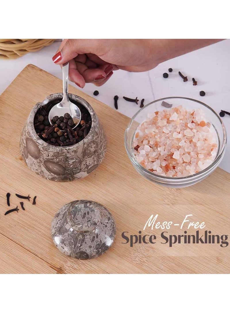 الحرف الأرضية وعاء ملح رخامي مع غطاء وملعقة، وعاء توابل وملح أوشيانك مقاس 4 بوصات، حامل حلوى القهوة لطاولة المطبخ - Image 2