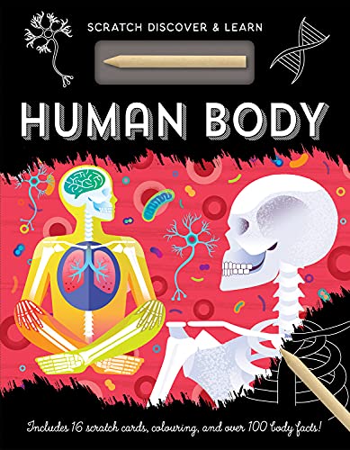 Human Body - Image 1