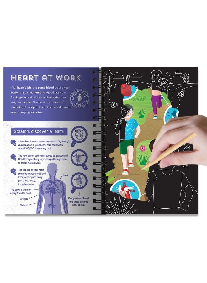 Human Body - Image 5