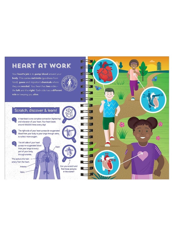 Human Body - Image 3