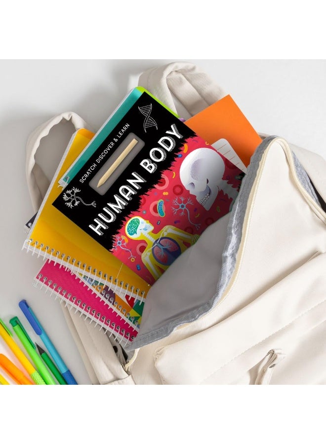 Human Body - Image 4