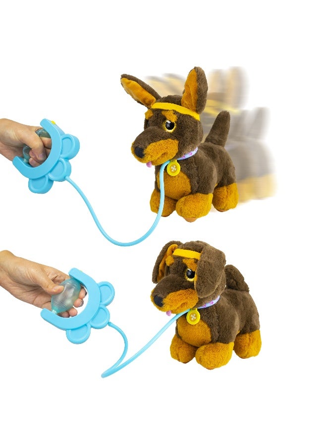 Eolo Sprint Dachshund - Image 3