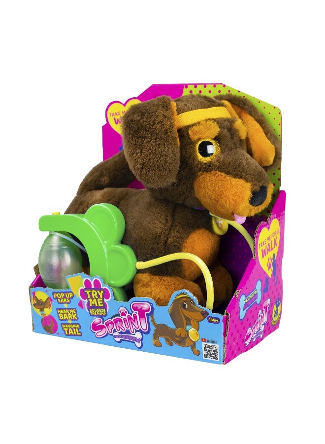 Eolo Sprint Dachshund - Image 1