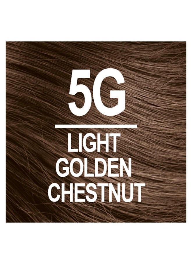 NATURTINT Permanent Hair Color 5G Light Golden Chestnut (Pack Of 6) Ammonia Free Vegan Cruelty Free Up To 100% Gray Coverage Long Lasting Results  - Image 3