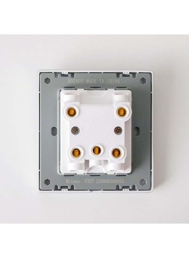 DANUBE HOME Milano 45A Dp Switch With Neon Electrical Switches Sockets Outlets For Home Appliances Office Hotel Conventional Construction Project Aura Slvr - Image 2