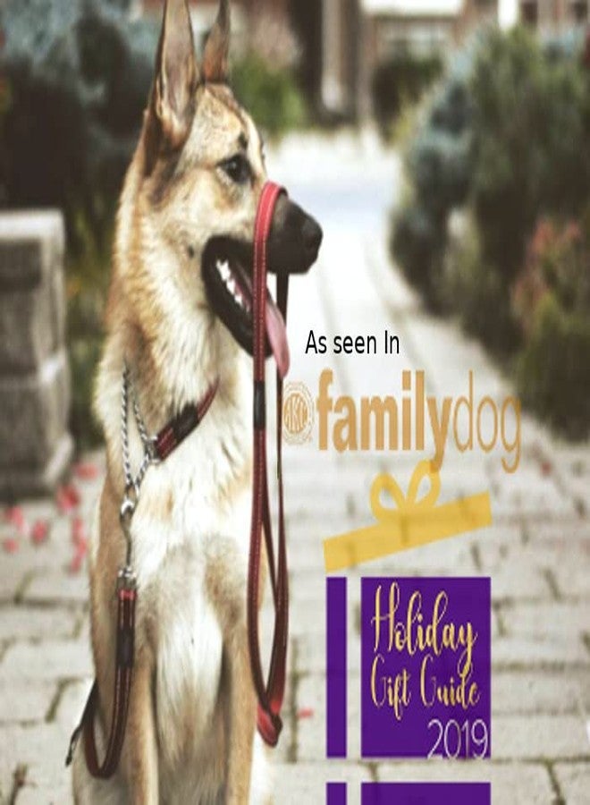 Rogz Martingale Training Dog Collar Small - Black - Image 4