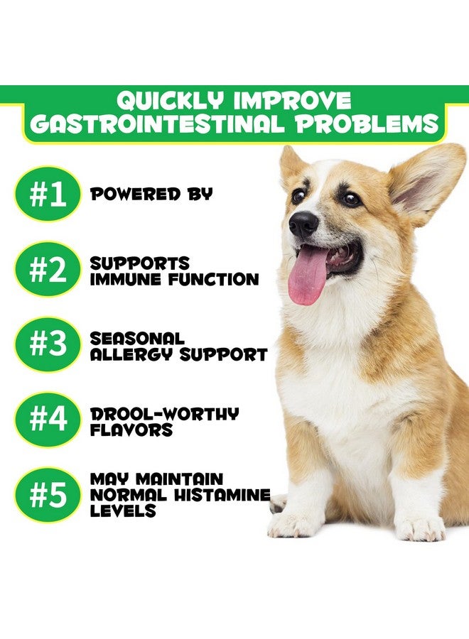 Oimmal Probiotics for Dogs Digestive Health, Digestive Probiotic Soft Chews for Dogs, Dog Probiotics and Digestive Enzymes, 120 Dog Probiotics Chews Omega-3 & 6, Vitamin, Improve Digestion, Immunity - Image 2