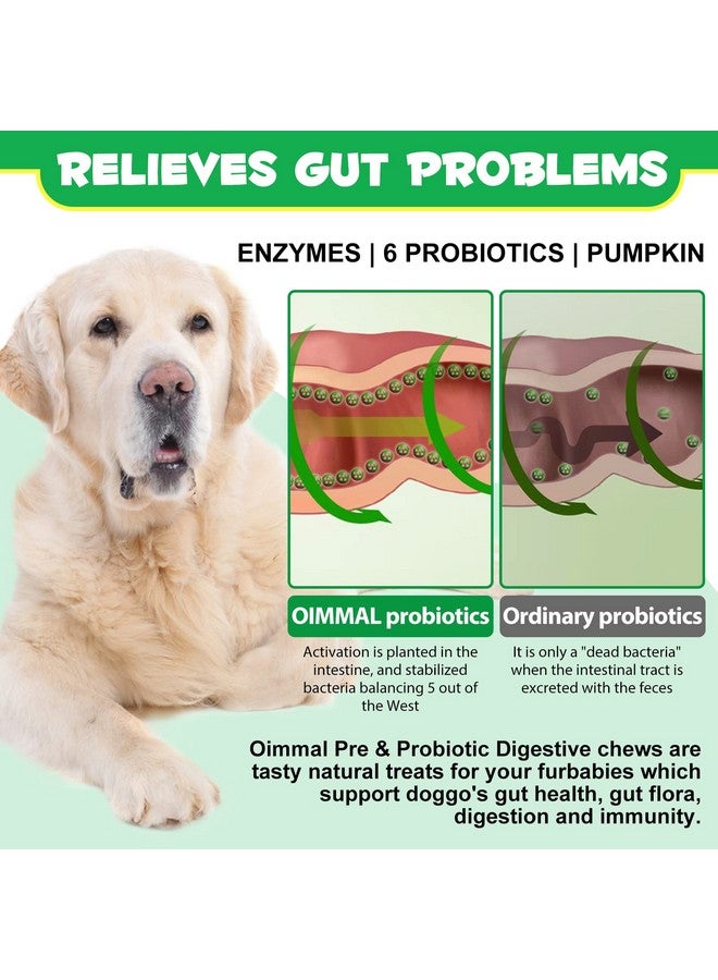 Oimmal Probiotics for Dogs Digestive Health, Digestive Probiotic Soft Chews for Dogs, Dog Probiotics and Digestive Enzymes, 120 Dog Probiotics Chews Omega-3 & 6, Vitamin, Improve Digestion, Immunity - Image 4