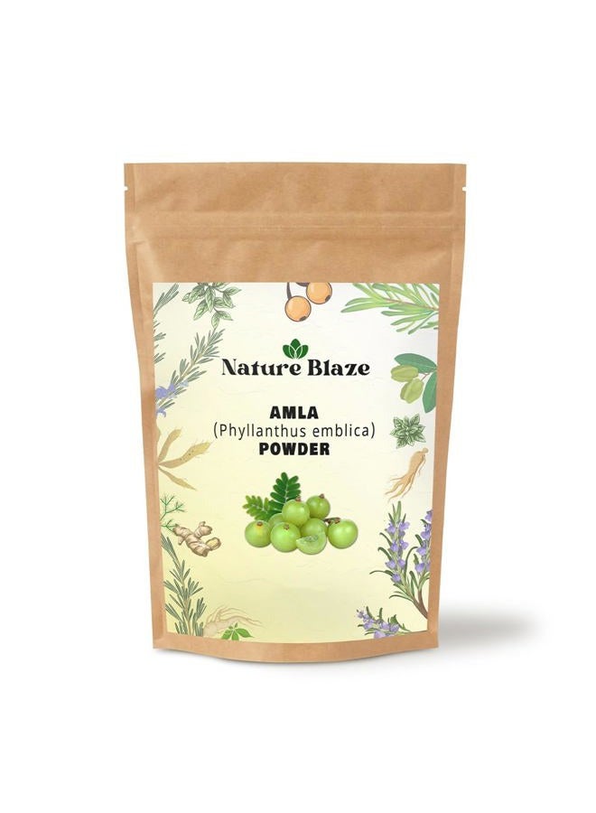 Organic Herbs عشب نقي (عنب الثعلب) أملّا أيورفيدي يعزز المناعة، يساعد في فقدان الوزن (عنب الثعلب. (أملّا بودر 100غ/3.5 أونصة) - Image 1