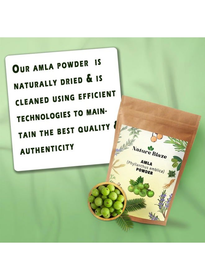 Organic Herbs عشب نقي (عنب الثعلب) أملّا أيورفيدي يعزز المناعة، يساعد في فقدان الوزن (عنب الثعلب. (أملّا بودر 100غ/3.5 أونصة) - Image 3