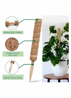 Generic Moss Pole - 26 Inch Moss Pole for Plants Monstera, 2 Pack 15.4 Inches Coco Plant Pole  - Image 3
