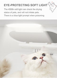 Intelligent Fully Automatic Pet Hair Drying Box Pet Cat And Dog Bath Hair Dryer 45*45*51cm - pzsku/Z81FF93746A88BB8C26ADZ/45/_/1733456616/5521e3f6-82f0-402e-9aa3-8f65d989f8d2