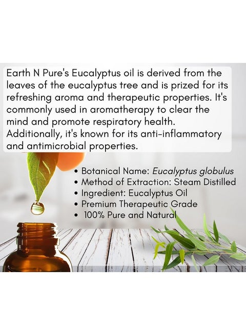 eucalyptus potted plant SILVA