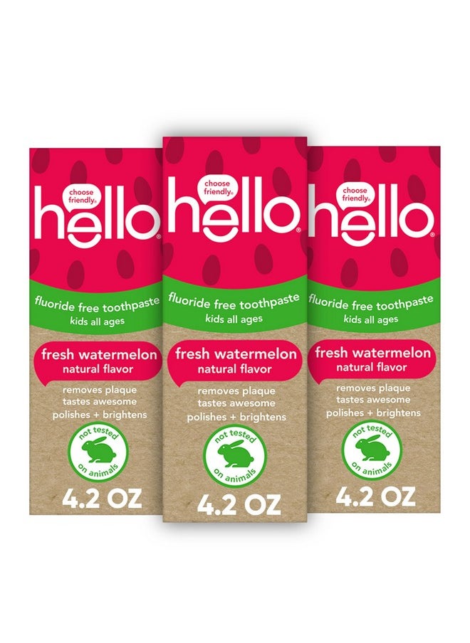 Hello Hello Natural Watermelon Flavor Baby & Kids Fluoride Free Toothpaste, Vegan, SLS Free, Gluten Free, Safe to Swallow for Baby and Toddlers, 4.2 Ounce (Pack of 3)  - Image 1