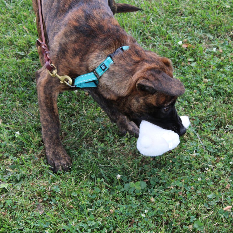 SPOT 6in Vermont Style Fleece Rabbit Dog Toy â€“ Soft Comfort Plushie for Small Dogs & Puppies â€“ Built-in Squeaker â€“ Safe for Light Chewers â€“ No Plastic Parts â€“ Calming & Cuddly Pet Toy - Image 5