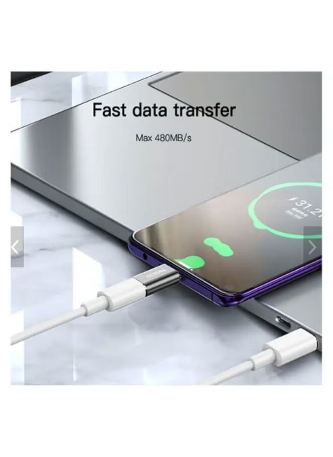 Yesido - Yesido GS22 Aluminum Alloy Fast Data Transfer Lightning to Type-C Adapter Support Type-c Devices Charge and sync - Image 1