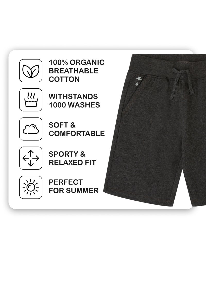 CANADA HOUSE Summer Comfort Dark Grey Cotton Casual Wear Shorts For Boys - Image 3