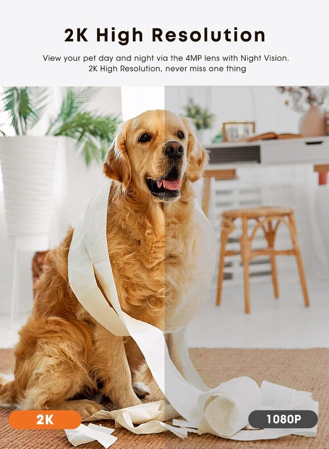 Dokoo Olkieqz Dog Camera with Treat Dispenser, 330° View Pet Camera with 2K/4MP HD Camera, 2.4 & 5 GHz Wi-Fi Cats Camera with 2-Way Au - Image 5