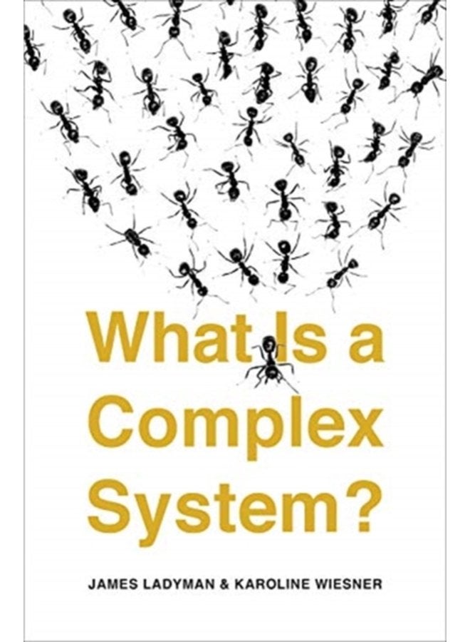 What Is a Complex System - Paperback