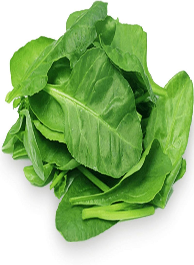 GGOOT seeds 50 Premium British Spinach Seeds Super Green Leafy Winter Vegetable UK Organic - Image 1