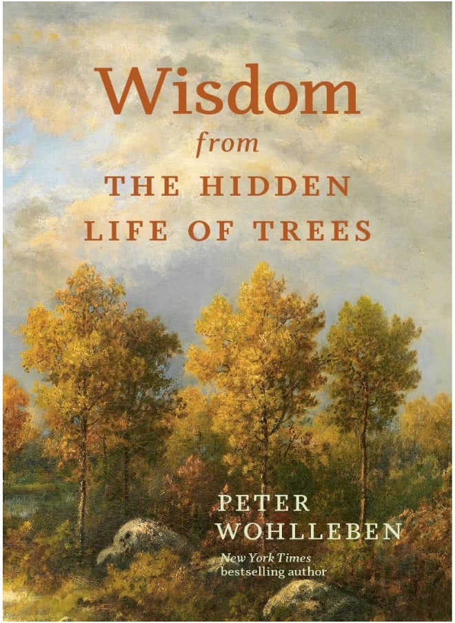 Wisdom From The Hidden Life of Trees 