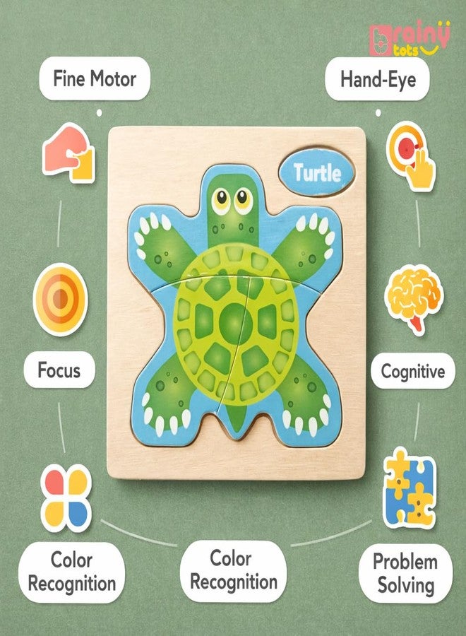 أحجية خشبية من BrainyTots للأطفال | لوحة تعليمية مبكرة بألوان زاهية وسطح أملس للأطفال الصغار | تُحسّن المهارات الحركية وتنمية التنسيق بين اليد والعين (سلحفاة) - Image 4