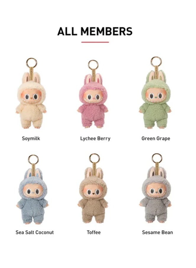 Pop Mart Labubu Generation I Heart Macaron Vinyl Face Blind Box Plush Doll Toy