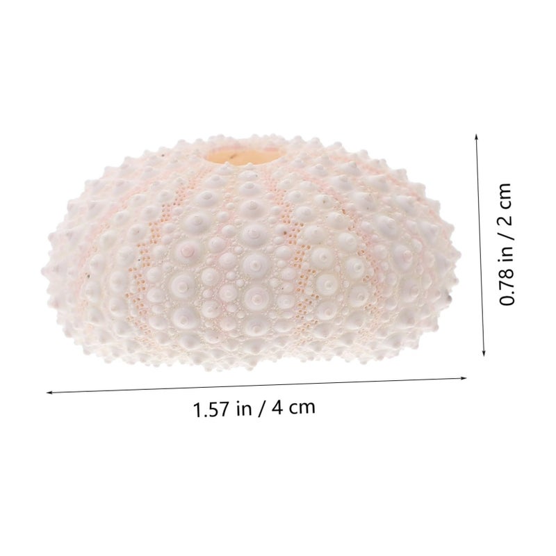 Natural Shell Conch Coral Manicure Photography Prop Nail Art Decorations - Image 4