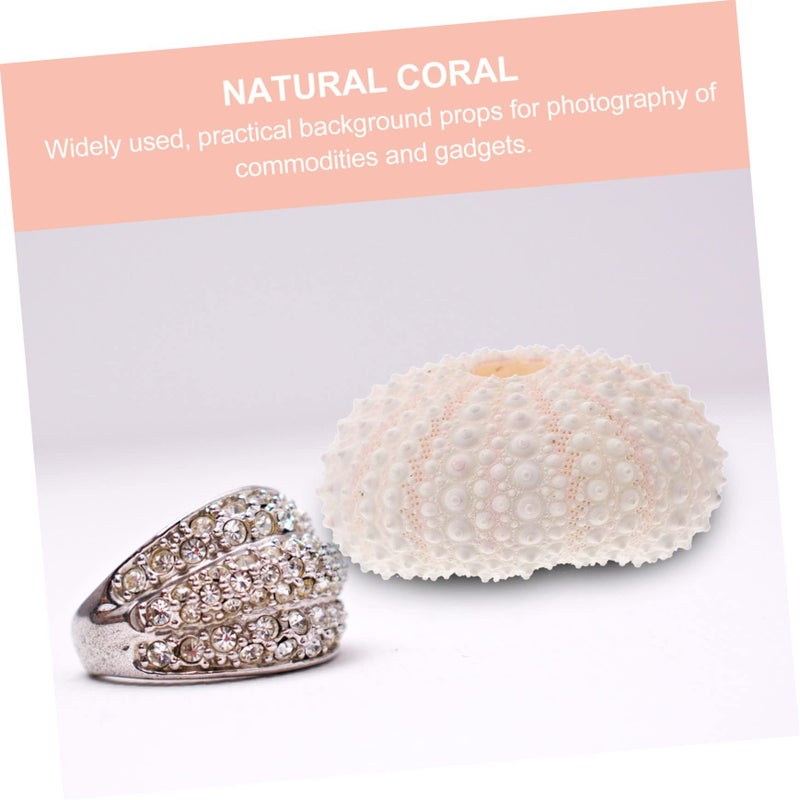 Natural Shell Conch Coral Manicure Photography Prop Nail Art Decorations - Image 5