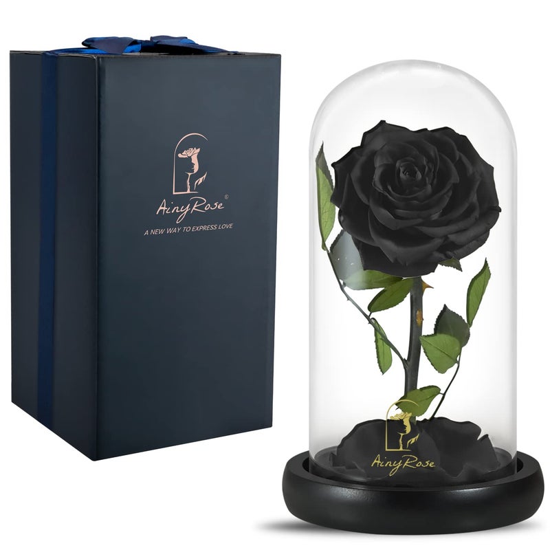 SW Forever Preserved Real Black Rose Flower Birthday Gifts for Mom WomenValentines Eternal Flower in Glass Gifts for Valentines Day Mothers Day Christmas Anniversary Birthday Black