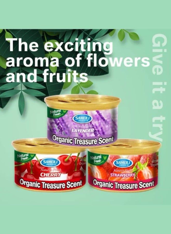 ساميلي [عبوة من 3 قطع] معطر جو طبيعي منعش للسيارة، بنكهة الثلج الأسود - Image 3