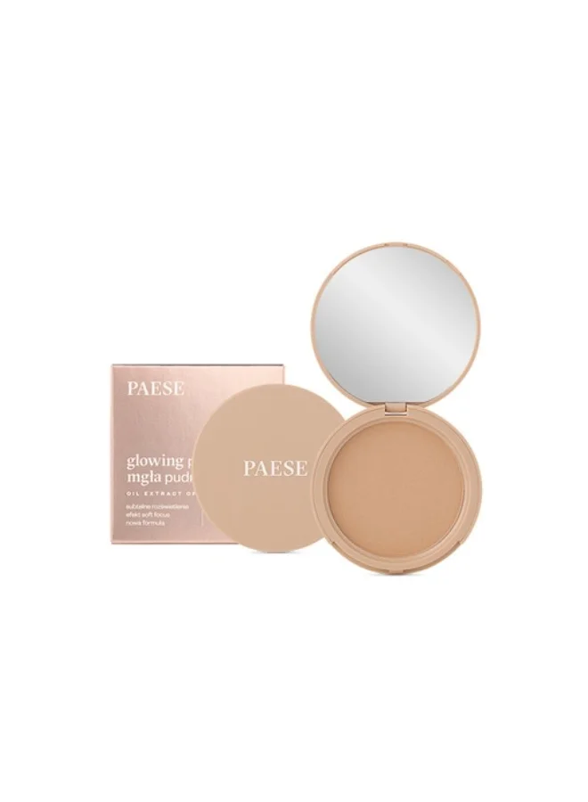 Paese  Glowing Powder - 13 golden beige for Women | Best Price UAE