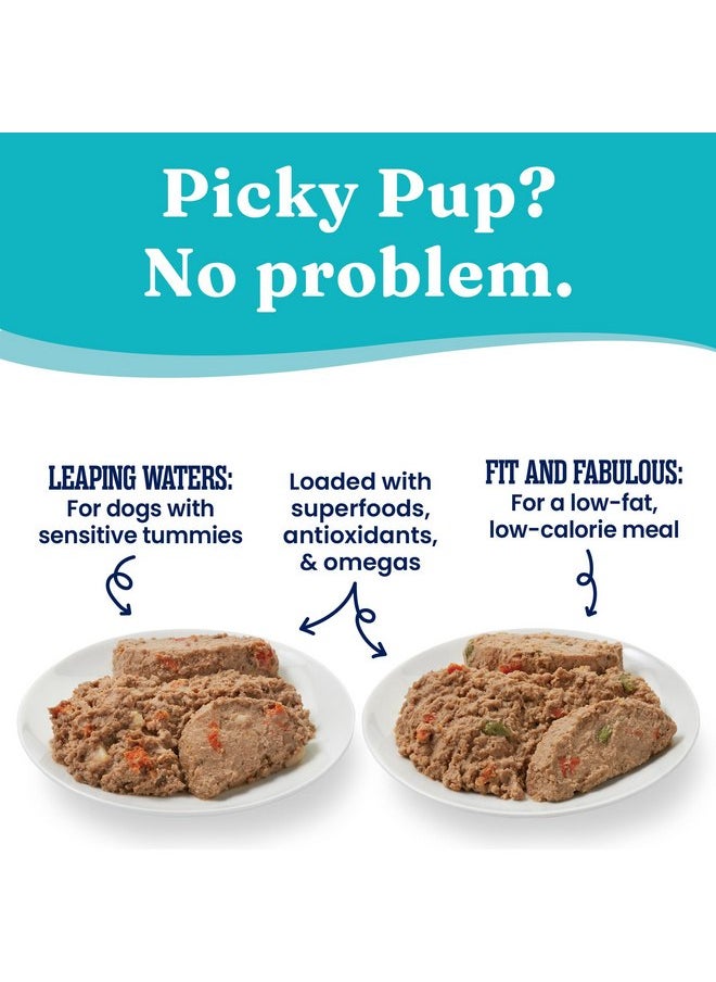solid gold - Solid Gold Wet Dog Food Variety Pack for Picky Eaters - Fit & Fabulous Chicken + Leaping Waters Chicken & Salmon Grain Free Canned Dog Food - Made with Real Protein for Sensitive Stomachs - 6 Pack - Image 1