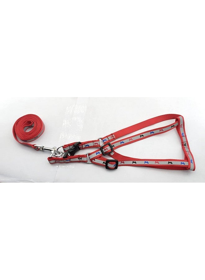 طقم حزام ومقود للكلاب من النايلون الناعم القابل للتعديل من الراديوم للجراء والكلاب من السلالات الصغيرة والمتوسطة طقم حزام ومقود عاكس - 15 مم (لون أحمر) - Image 5