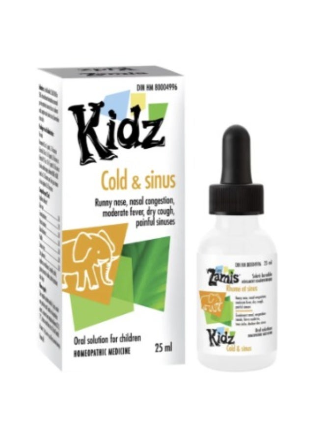 عام لي زاميس للبرد والجيوب الأنفية 25 مل