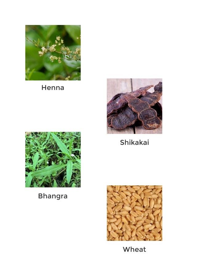 Vegetal Hairwell An Hair Fall Treatment And Regrowth Product 100G. - Image 4