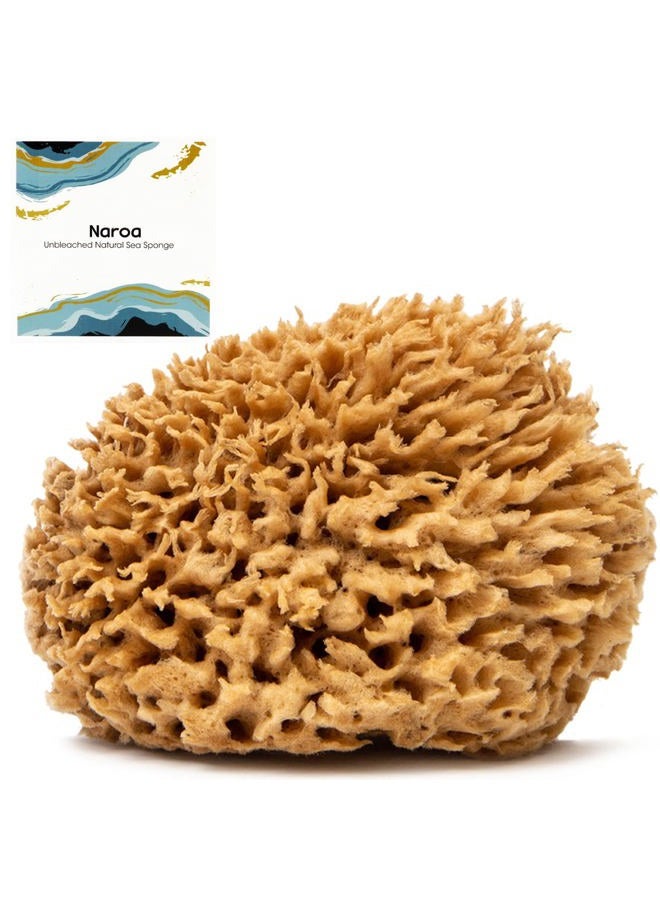 Naroa Soft Natural Sea Sponge | Gentle Loofah for Bathing Smooth Skin | Unbleached Shower Body Scrubber Puff | Bath & Spa (Medium) - Image 1