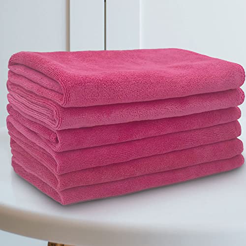 Sassoon Highly Absorbent Microfiber Cleaning Cloth in 450 GSM (6 Pcs, Coral Pink) 40X40 cms- Thick Lint & Streak-Free Multipurpose Cloths-Automotive Microfiber Towels for Car Bike Cleaning - Image 1