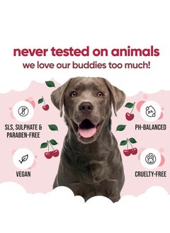 Buddy Black Cherry Dog Shampoo by Buddycare Deep Cleansing Shampoo for Dogs Black Cherry Scented With Aloe Vera and Pro Vitamin B5 500ml  - Image 2
