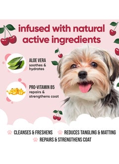 Buddy Black Cherry Dog Shampoo by Buddycare Deep Cleansing Shampoo for Dogs Black Cherry Scented With Aloe Vera and Pro Vitamin B5 500ml  - Image 5