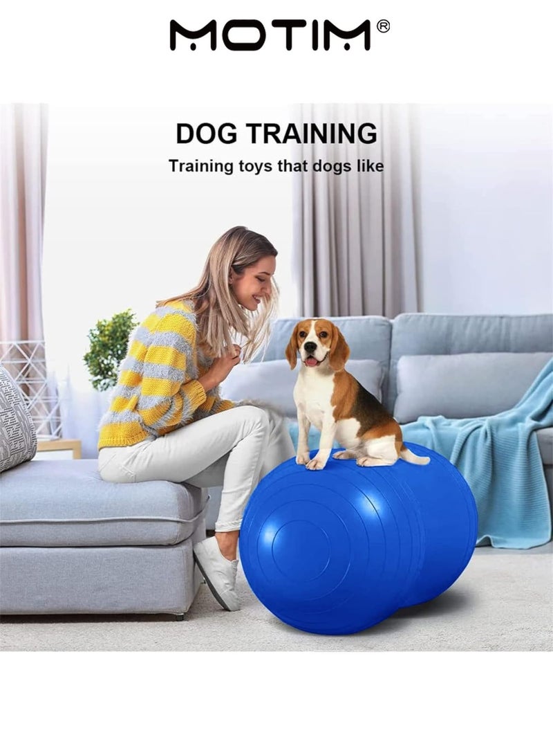 موتيم فول السودان اليوغا الكرة تمارين الكرة اللياقة البدنية الكرة مع مضخة مكافحة انفجار استقرار الكرة للصالة الرياضية المنزلية اليوغا بيلاتس تدريب القوة الأساسية (45 * 90 سم) - Image 5