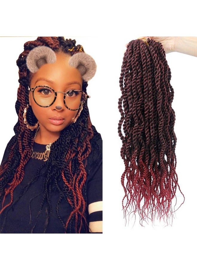 18Inch Wavy Senegalese Twist Crochet Hair Braids Wavy Ends Ombre Synthetic Hair Extension Curly Crochet Twist Braiding Hair(6Packs1B Bug) - pzsku/Z82131644E18F51F25BE8Z/45/_/1705942004/9436b997-179f-4cbe-a41c-011309f3ef04