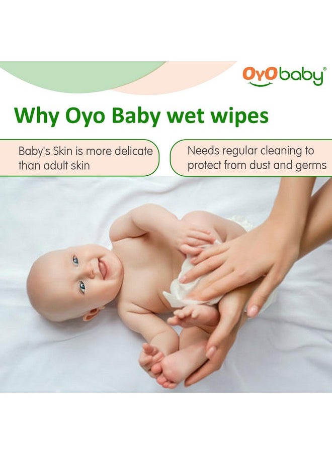 Soft Wet Wipes Enriched With Aloe Vera, Cleansing Baby Wet Wipes With Lid, Pack Of 3 - pzsku/Z82137CD2B51A19374AA2Z/45/_/1733729729/32b70fd7-fd7d-4e47-bd37-f92e8761de87