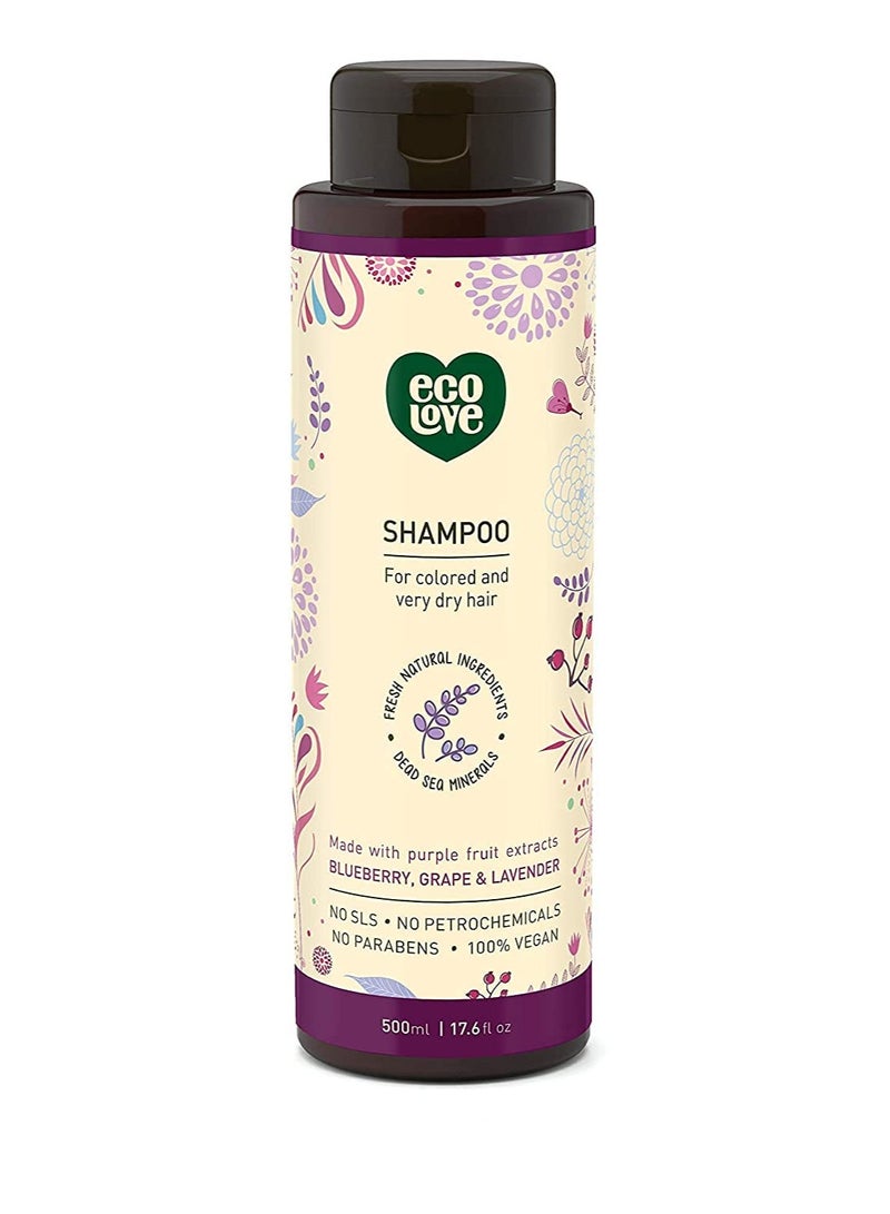 ecoLove - Natural Shampoo, Sodium lauryl sulfate Free, Vegan & Cruelty Free Shampoo for Color Treated Hair, Very Dry & Damaged Hair, Organic Lavender shampoo, No SLS or Parabens, 17.6 oz - Image 1